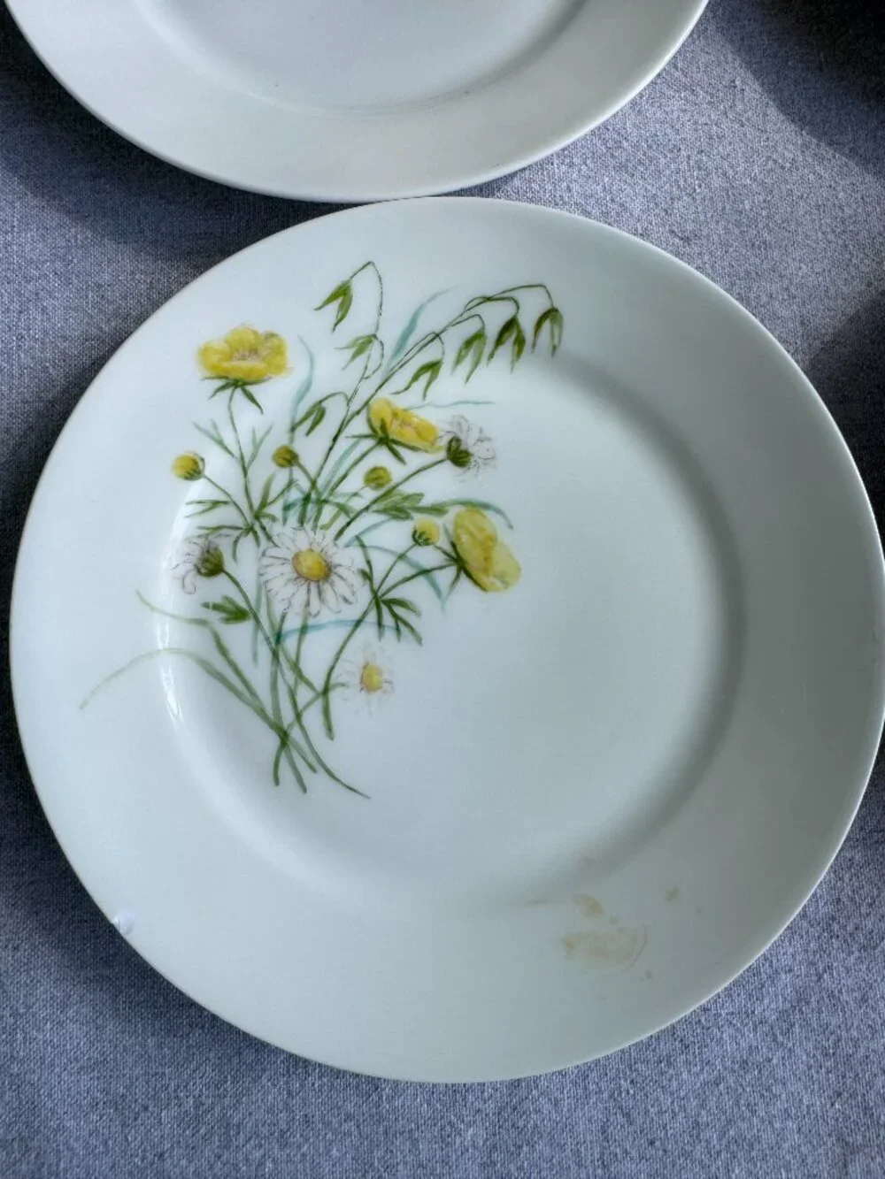 Haviland Limoges Floral Plates – Antique French Porcelain